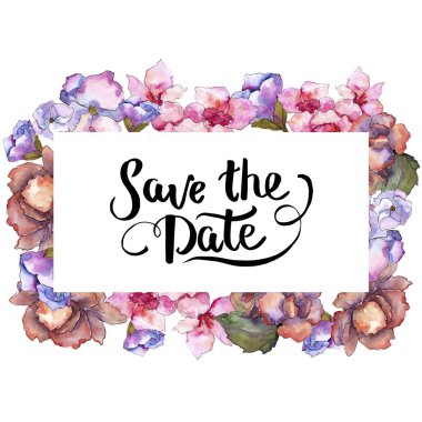 Pembe ve mor gardania. Botanik çiçek. Çerçeve kenarlığı süsleme Meydanı. Arka plan, doku, sarıcı desen, çerçeve veya kenarlık için Aquarelle kır çiçeği.