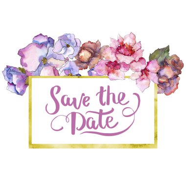 Pembe ve mor gardania. Botanik çiçek. Çerçeve kenarlığı süsleme Meydanı. Arka plan, doku, sarıcı desen, çerçeve veya kenarlık için Aquarelle kır çiçeği.