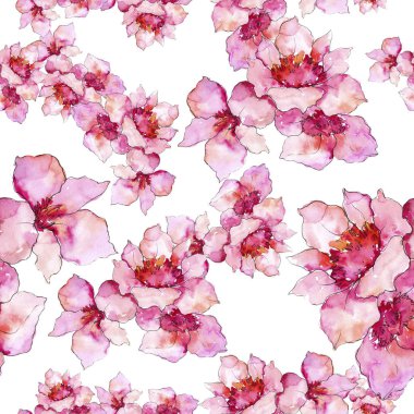 Pembe ve mor gardania. Botanik çiçek. Sorunsuz arka plan deseni. Kumaş duvar kağıdı yazdırma doku. Arka plan, doku, sarıcı desen, çerçeve veya kenarlık için Aquarelle kır çiçeği.