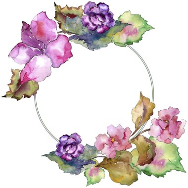 Pembe ve mor gardania. Botanik çiçek. Çerçeve kenarlığı süsleme Meydanı. Arka plan, doku, sarıcı desen, çerçeve veya kenarlık için Aquarelle kır çiçeği.