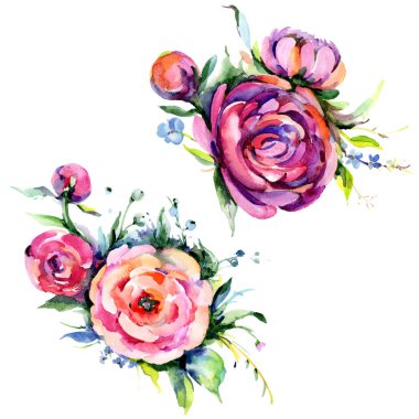 Suluboya buket pembe şakayık flowes. Botanik çiçek. İzole illüstrasyon öğesi. Arka plan, doku, sarıcı desen, çerçeve veya kenarlık için Aquarelle kır çiçeği.