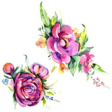 Suluboya buket pembe şakayık flowes. Botanik çiçek. İzole illüstrasyon öğesi. Arka plan, doku, sarıcı desen, çerçeve veya kenarlık için Aquarelle kır çiçeği.