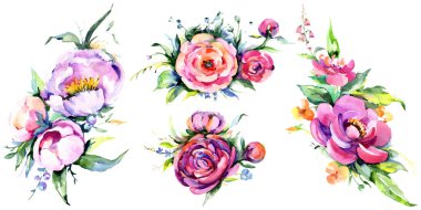 Suluboya buket pembe şakayık flowes. Botanik çiçek. İzole illüstrasyon öğesi. Arka plan, doku, sarıcı desen, çerçeve veya kenarlık için Aquarelle kır çiçeği.