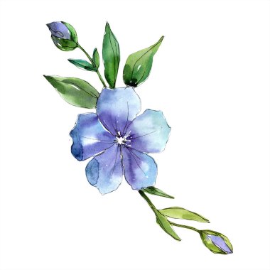 Suluboya mavi keten çiçek. Botanik çiçek. İzole illüstrasyon öğesi. Arka plan, doku, sarıcı desen, çerçeve veya kenarlık için Aquarelle kır çiçeği.