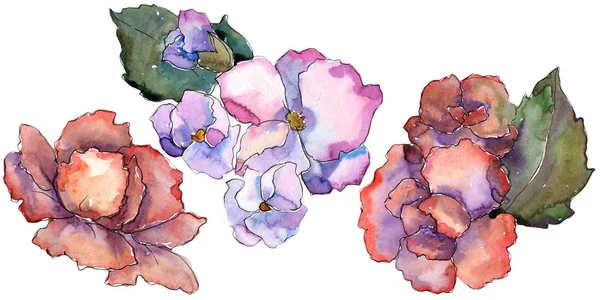 Garderie Rose Violette Fleur Botanique Florale Élément Illustration Isolé Aquarelle — Photo