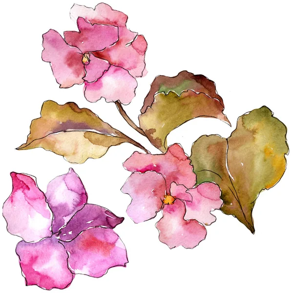 Garderie Rose Violette Fleur Botanique Florale Élément Illustration Isolé Aquarelle — Photo