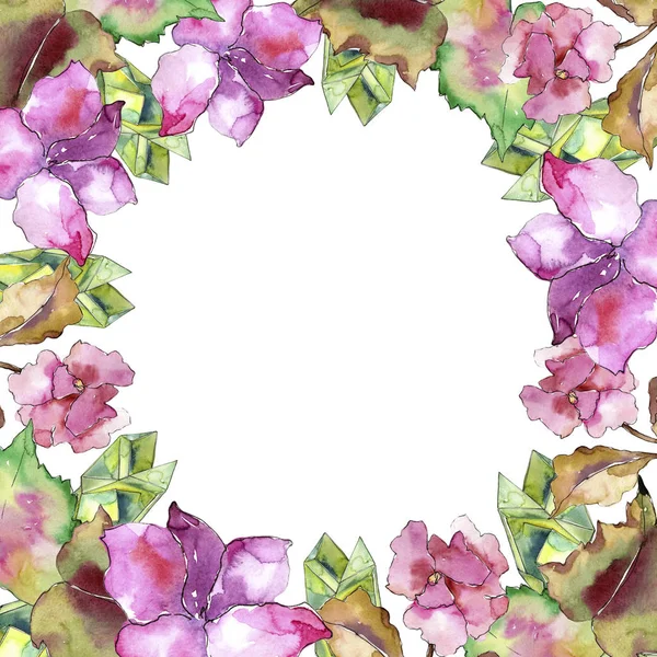 Gardania Rosa Viola Fiore Botanico Floreale Quadrato Ornamento Bordo Cornice — Foto Stock