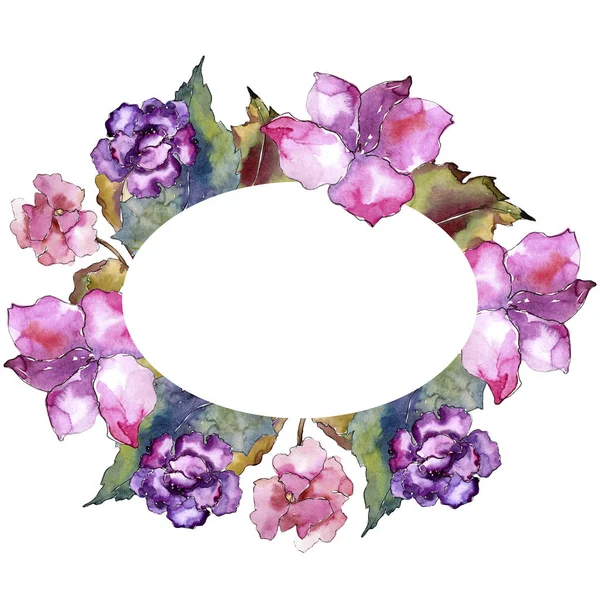 Gardania Rosa Púrpura Flor Botánica Floral Marco Borde Ornamento Cuadrado —  Fotos de Stock