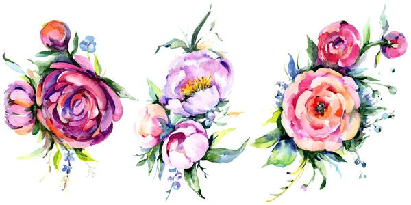 Flowes Piwonia Akwarela Bukiet Róż Botaniczny Kwiat Kwiatowy Element Ilustracja — Zdjęcie stockowe