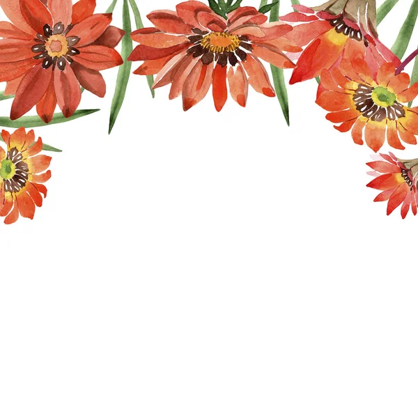 Acquerello Fiori Gazania Arancione Fiore Botanico Floreale Quadrato Ornamento Bordo — Foto Stock