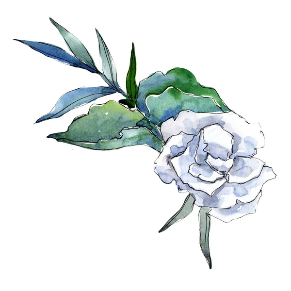 Aquarell Strauß Tropischer Blumen Blütenbotanische Blume Isoliertes Illustrationselement Aquarell Wildblume — Stockfoto