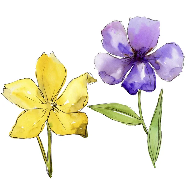 Watercolor Blue Purple Flax Flowers Floral Botanical Flower Isolated Illustration — Stock Photo, Image