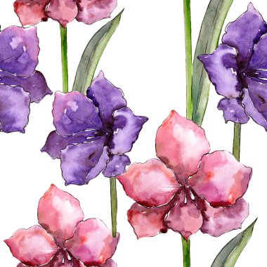 Sulu boya renkli amaryllis çiçekler. Sorunsuz arka plan deseni. Kumaş duvar kağıdı yazdırma doku. İzole illüstrasyon öğesi. Arka plan, doku, sarıcı desen Aquarelle kır çiçeği.