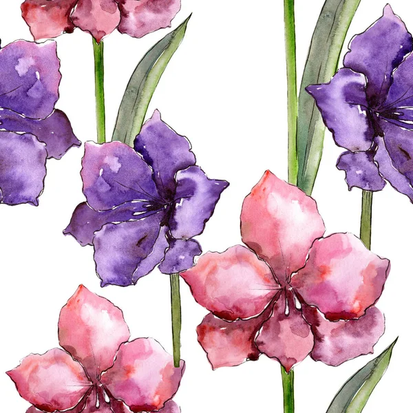 Sulu boya renkli amaryllis çiçekler. Sorunsuz arka plan deseni. Kumaş duvar kağıdı yazdırma doku. İzole illüstrasyon öğesi. Arka plan, doku, sarıcı desen Aquarelle kır çiçeği.