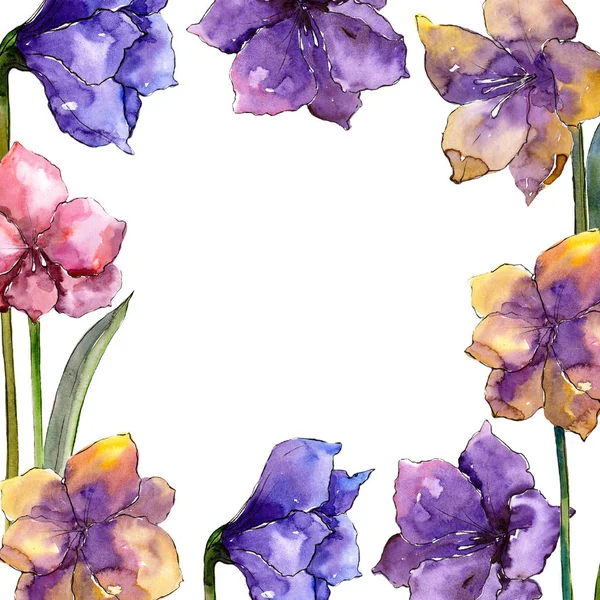 Aquarel Kleurrijke Amaryllis Bloemen Floral Botanische Bloem Frame Grens Ornament — Stockfoto