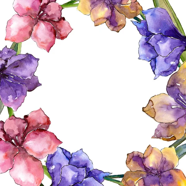 Aquarela Flores Amarílis Coloridas Floral Botânica Flower Frame Borda Ornamento — Fotografia de Stock