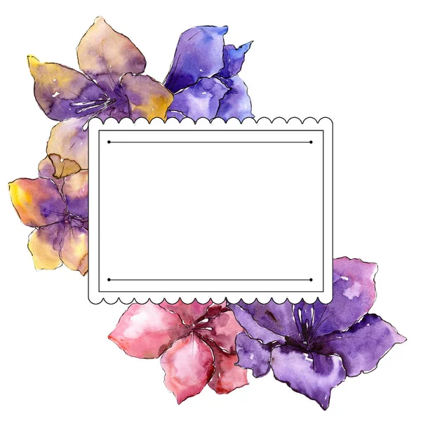 Aquarela Flores Amarílis Coloridas Floral Botânica Flower Frame Borda Ornamento — Fotografia de Stock