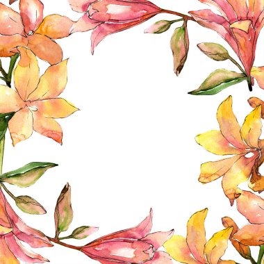 Suluboya turuncu amaryllis. Botanik çiçek. Çerçeve kenarlığı süsleme Meydanı.