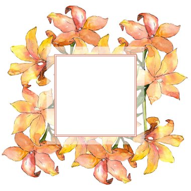 Suluboya turuncu amaryllis. Botanik çiçek. Çerçeve kenarlığı süsleme Meydanı.