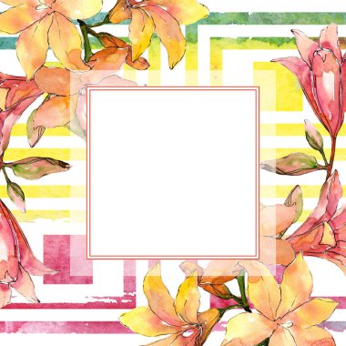 Suluboya turuncu amaryllis. Botanik çiçek. Çerçeve kenarlığı süsleme Meydanı.