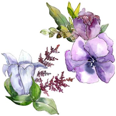 Suluboya buket çiçek. Botanik çiçek. İzole illüstrasyon öğesi.