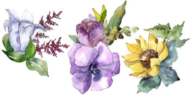 Suluboya buket çiçek. Botanik çiçek. İzole illüstrasyon öğesi.