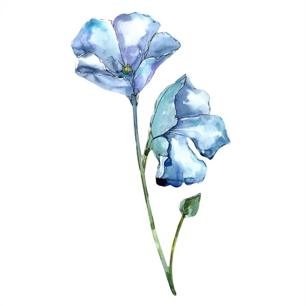 Flor de linho azul aquarela. Floral flor botânica. Elemento ilustrativo isolado . — Fotografia de Stock
