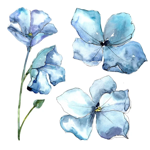 水彩蓝亚麻花。花卉植物花。孤立的插图元素. — 图库照片