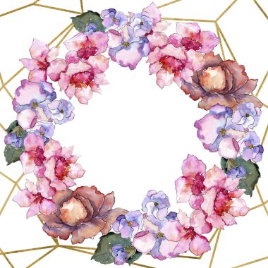 Pembe ve mor gardania. Botanik çiçek. Çerçeve kenarlığı süsleme Meydanı.