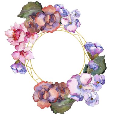 Pembe ve mor gardania. Botanik çiçek. Çerçeve kenarlığı süsleme Meydanı.