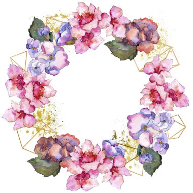 Pembe ve mor gardania. Botanik çiçek. Çerçeve kenarlığı süsleme Meydanı.