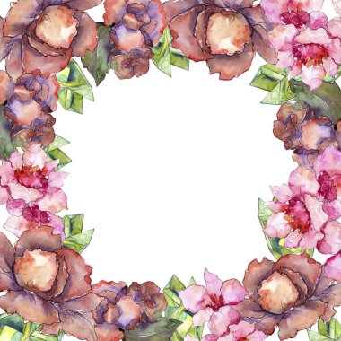 Pembe ve mor gardania. Botanik çiçek. Çerçeve kenarlığı süsleme Meydanı.