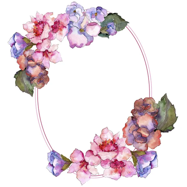 Gardania rosa e roxa. Floral flor botânica. Quadro borda ornamento quadrado . — Fotografia de Stock
