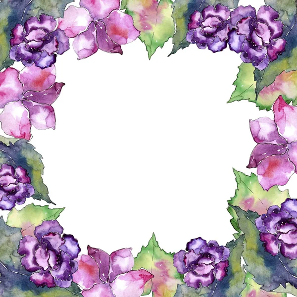 Gardania rosa y púrpura. Flor botánica floral. Marco borde ornamento cuadrado . —  Fotos de Stock