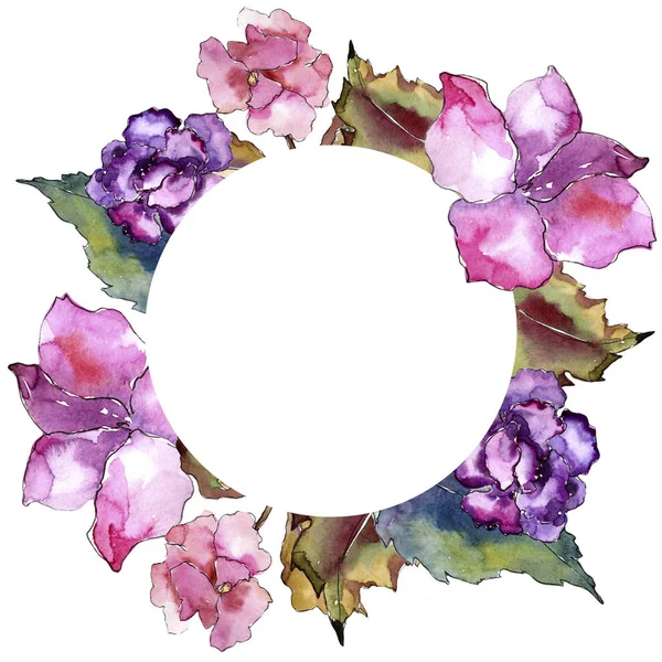 Gardania ροζ και μοβ. Floral βοτανικό λουλούδι. Πλαίσιο συνόρων στολίδι τετράγωνο. — Φωτογραφία Αρχείου