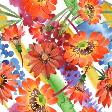 Sulu boya turuncu gazania çiçekler. Botanik çiçek. Sorunsuz arka plan deseni.