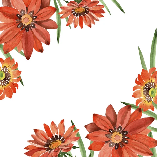 Akvarell orange gazania blommor. Blommig botaniska blomma. Ram gränsen prydnad square. — Stockfoto