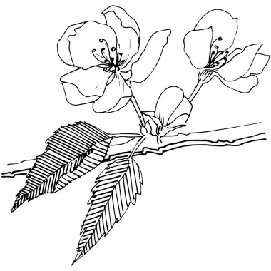 Elma ağacı izole bir vektör tarzı.