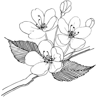 Elma ağacı izole bir vektör tarzı.