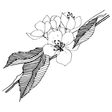 Elma ağacı izole bir vektör tarzı.