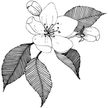 Elma ağacı izole bir vektör tarzı.