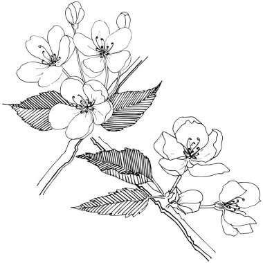 Elma ağacı izole bir vektör tarzı.