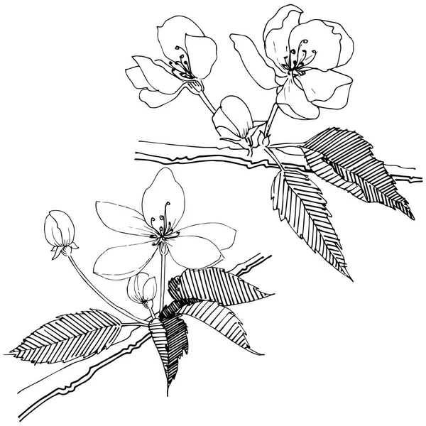 Apfelbaum im Vektorstil isoliert. — Stockvektor