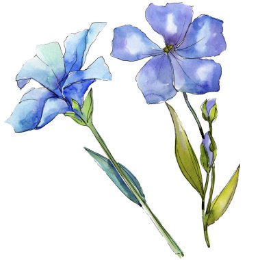 Suluboya mavi ve sarı keten çiçekler. Botanik çiçek. İzole illüstrasyon öğesi. Arka plan, doku, sarıcı desen, çerçeve veya kenarlık için Aquarelle kır çiçeği.