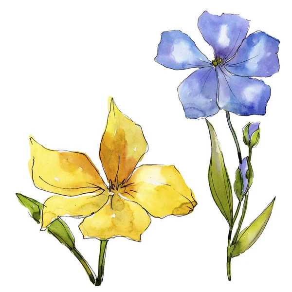 Suluboya mavi ve sarı keten çiçekler. Botanik çiçek. İzole illüstrasyon öğesi. Arka plan, doku, sarıcı desen, çerçeve veya kenarlık için Aquarelle kır çiçeği.
