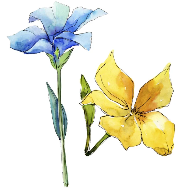 Watercolor Blue Yellow Flax Flowers Floral Botanical Flower Isolated Illustration — Stock Photo, Image