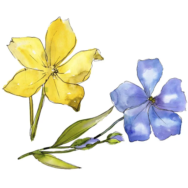 Suluboya mavi ve sarı keten çiçekler. Botanik çiçek. İzole illüstrasyon öğesi. Arka plan, doku, sarıcı desen, çerçeve veya kenarlık için Aquarelle kır çiçeği.