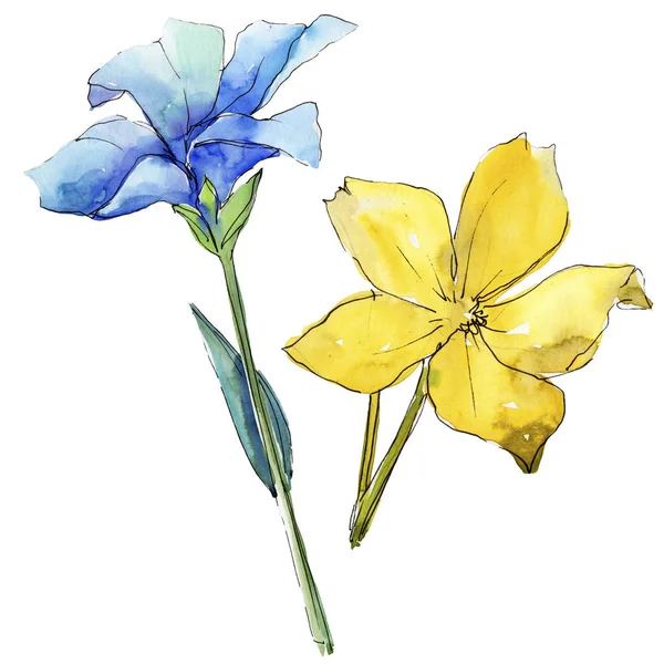 水彩蓝色和黄色亚麻花 花卉植物花 独立的插图元素 包装图案 框架或边框的水彩画野花 — 图库照片