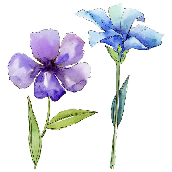 Acquerello Fiori Lino Blu Viola Fiore Botanico Floreale Elemento Illustrazione — Foto Stock