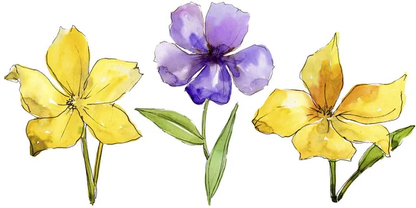 Watercolor Purple Yellow Flax Flowers Floral Botanical Flower Isolated Illustration — Stock Photo, Image